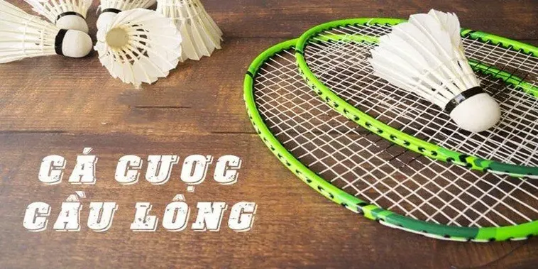 Cách Chơi Cá Cược Cầu Lông Tại 100Win Thắng Lớn Dễ Dàng