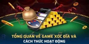 Chơi Xóc Đĩa 100Win Đổi Đời Nhanh Chóng Với Tỷ Lệ Thắng Cao